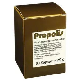 PROPOLIS kapsuly, 60 hodín