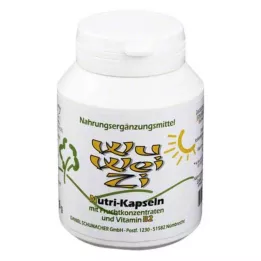 WU WEI ZI Nutri kapsuly pre výživové doplnky, 120 kusov