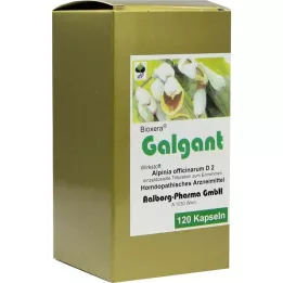 GALGANT KAPSULKY, 120 ks