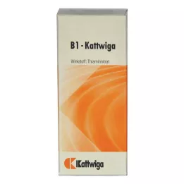 B1 KATTWIGA tablety, 50 ks