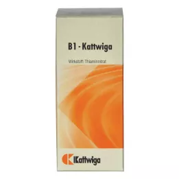 B1 KATTWIGA tablety, 100 ks