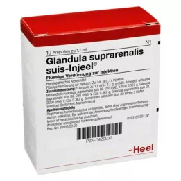 GLANDULA SUPRARENALIS suis Injeel ampulky, 10 ks