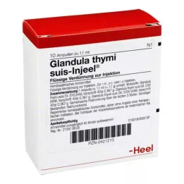GLANDULA THYMI suis Injeel ampulky, 10 ks