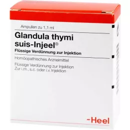 GLANDULA THYMI suis Injeel ampulky, 100 ks