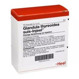 GLANDULA THYREOIDEA suis Injeel ampulky, 10 ks