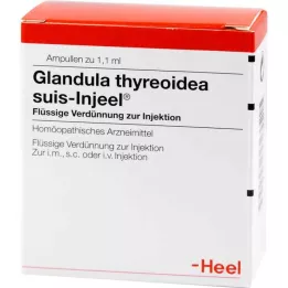 GLANDULA THYREOIDEA suis Injeel ampulky, 100 ks