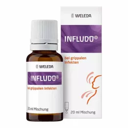 INFLUDO Zmes, 20 ml