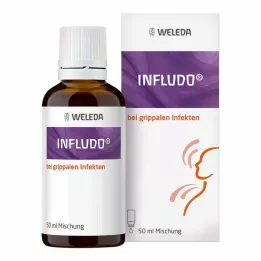 INFLUDO Zmes, 50 ml