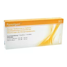 PANALGAN Ampulky, 10X10 ks