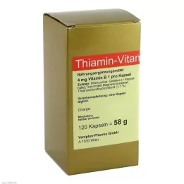 THIAMIN Kapsuly vitamínu B1, 120 ks