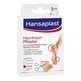 HANSAPLAST Kalusová omietka, 3 kusy