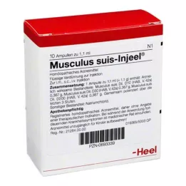 MUSCULUS SUIS Injeel ampulky, 10 ks