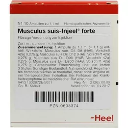 MUSCULUS SUIS Injelel Forte Ampoules, 10 hodín