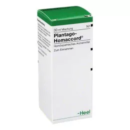 PLANTAGO HOMACCORD Kvapky, 30 ml