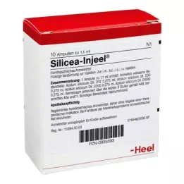 SILICEA INJEEL Ampulky, 10 ks