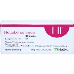 HELLEBORUS FOETIDUS aquos. D 6 ampuliek, 8X1 ml