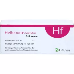 HELLEBORUS FOETIDUS aquos. D 12 ampuliek, 8X1 ml