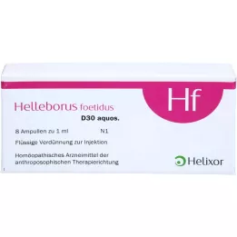 HELLEBORUS FOETIDUS aquos. D 30 ampuliek, 8X1 ml