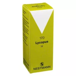 LYCOPUS H No. 170 kvapiek, 100 ml