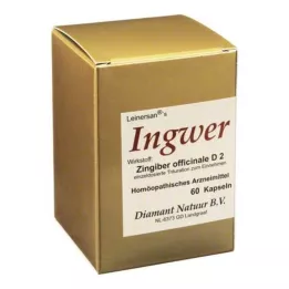 INGWER KAPSULKY, 60 ks