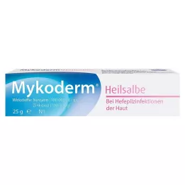 MYKODERM Hojivá masť Nystatín a oxid zinočnatý, 25 g