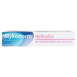 MYKODERM Hojivá masť Nystatín a oxid zinočnatý, 50 g
