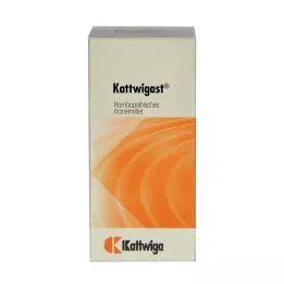 KATTWIGAST Tablety, 100 ks
