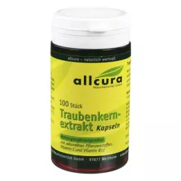 TRAUBENKERNEXTRAKT kapsuly, 100 ks