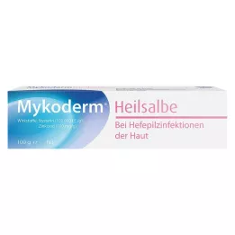 MYKODERM Hojivá masť Nystatín a oxid zinočnatý, 100 g