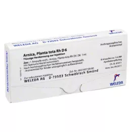 ARNICA PLANTA tota Rh D 6 ampulky, 8X1 ml