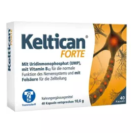 KELTICAN kapsuly forte, 40 ks
