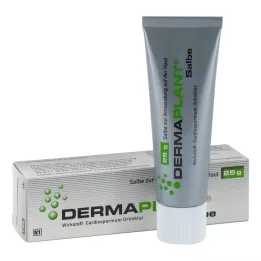 DERMAPLANT Masť, 25 g
