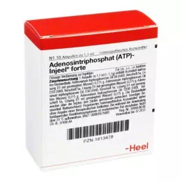 ATP Ampulky Injeel forte, 10 ks