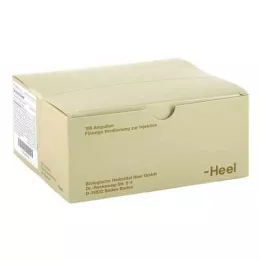 SEROTONIN Injeel ampulky, 100 ks