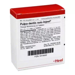 PULPA DENTIS SUIS Injeel ampulky, 10 ks