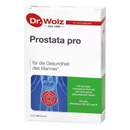PROSTATA PRO Kapsuly Dr.Wolz, 2X20 ks