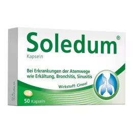 SOLEDUM 100 mg gastrorezistentné kapsuly, 50 ks
