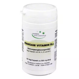 PANGAM Kapsuly vitamínu B15, 60 ks