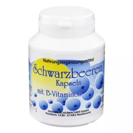 SCHWARZBEEREN Kapsuly, 100 ks