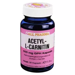 ACETYL-L-CARNITIN 500 mg kapsuly, 30 ks