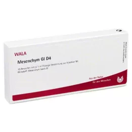 MESENCHYM GL D 4 ampulky, 10X1 ml
