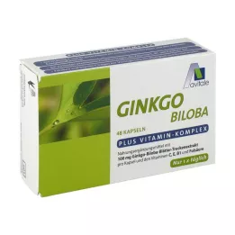 GINKGO 100 mg kapsuly+B1+C+E, 48 ks
