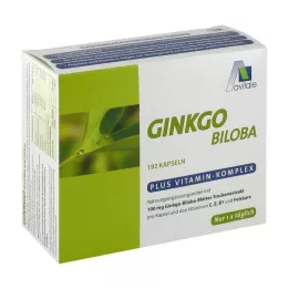 GINKGO 100 mg kapsuly+B1+C+E, 192 ks