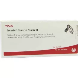 ampulkyISCUCIN quercus Strength B, 10X1 ml