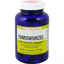 YAMSWURZEL 500 mg GPH kapsuly, 120 ks