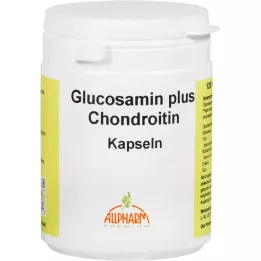 GLUCOSAMIN+CHONDROITIN kapsuly, 120 ks