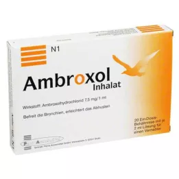 AMBROXOL Inhalačný roztok do rozprašovača, 20X2 ml