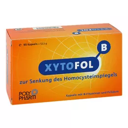 XYTO Kapsuly Fol B, 90 ks