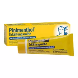PINIMENTHOL Studená masť Eucal./Pine./Ment., 20 g