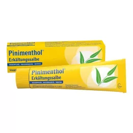 PINIMENTHOL Studená masť Eucal./Pine./Ment., 100 g